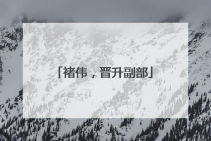 褚伟，晋升副部