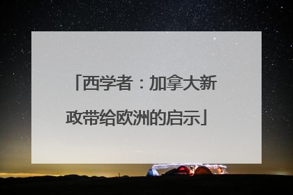 西学者：加拿大新政带给欧洲的启示