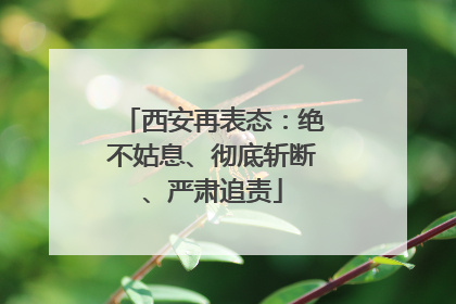 西安再表态：绝不姑息、彻底斩断、严肃追责