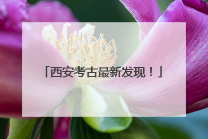 西安考古最新发现！