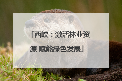 西峡：激活林业资源 赋能绿色发展