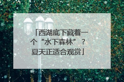 西湖底下藏着一个“水下森林”？夏天正适合观赏