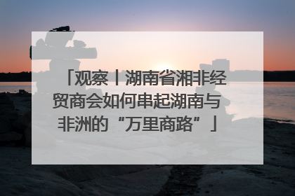 观察丨湖南省湘非经贸商会如何串起湖南与非洲的“万里商路”