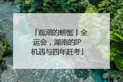 观潮的螃蟹丨全运会，湖南的IP机遇与四年赶考