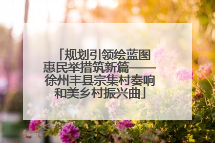规划引领绘蓝图 惠民举措筑新篇——徐州丰县宗集村奏响和美乡村振兴曲
