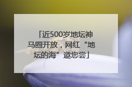 近500岁地坛神马圈开放，网红“地坛的海”邀您尝