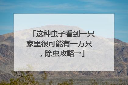 这种虫子看到一只家里很可能有一万只，除虫攻略→