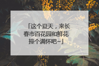 这个夏天，来长春市百花园和鲜花撞个满怀吧~