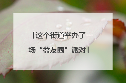 这个街道举办了一场“盆友圈”派对
