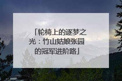 轮椅上的逐梦之光：竹山姑娘张园的冠军进阶路