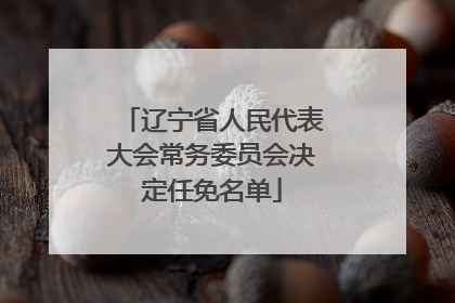辽宁省人民代表大会常务委员会决定任免名单