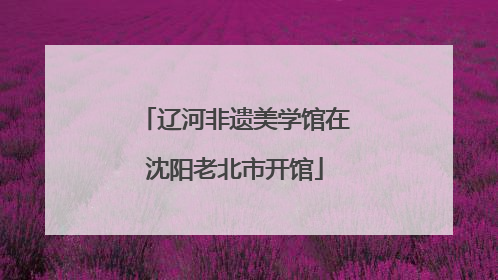 辽河非遗美学馆在沈阳老北市开馆