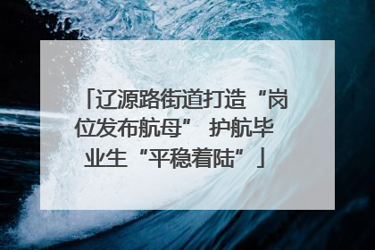 辽源路街道打造“岗位发布航母” 护航毕业生“平稳着陆”
