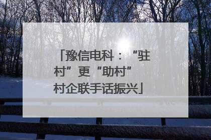 豫信电科：“驻村”更“助村” 村企联手话振兴