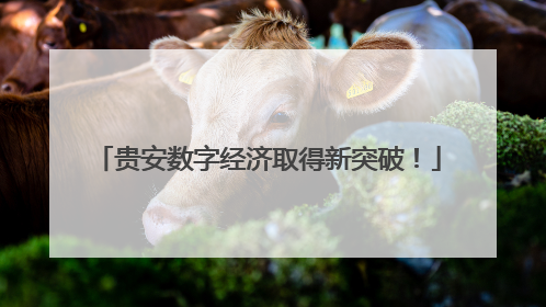 贵安数字经济取得新突破！