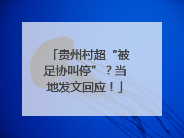 贵州村超“被足协叫停”？当地发文回应！