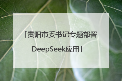 贵阳市委书记专题部署DeepSeek应用