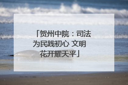 贺州中院：司法为民践初心 文明花开耀天平