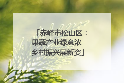 赤峰市松山区：果蔬产业绿意浓 乡村振兴展新姿