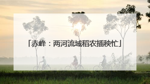 赤峰：两河流域稻农插秧忙