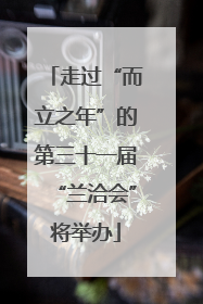 走过“而立之年”的第三十一届“兰洽会”将举办