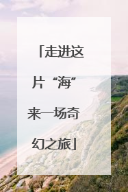 走进这片“海”来一场奇幻之旅