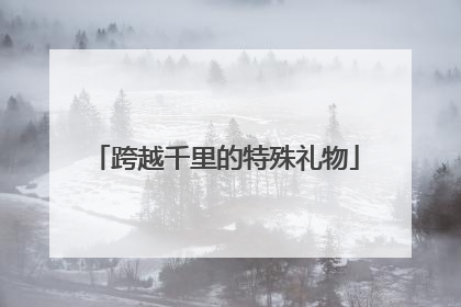 跨越千里的特殊礼物