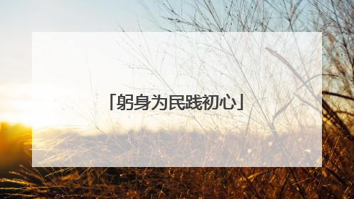躬身为民践初心