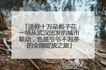 送你十万朵栀子花：一场从武汉出发的城市联动，也是爷爷不泡茶的全国绽放之旅