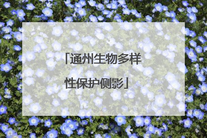 通州生物多样性保护侧影