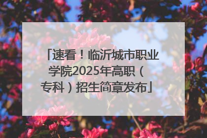 速看!临沂城市职业学院2025年高职(专科)招生简章发布