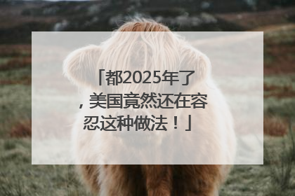 都2025年了，美国竟然还在容忍这种做法！