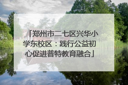 郑州市二七区兴华小学东校区：践行公益初心促进普特教育融合