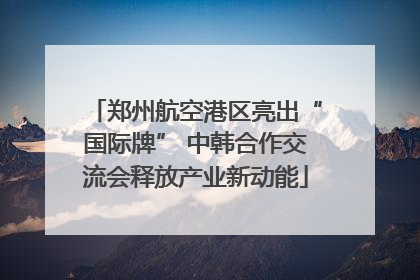 郑州航空港区亮出“国际牌” 中韩合作交流会释放产业新动能