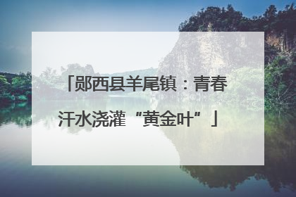 郧西县羊尾镇：青春汗水浇灌“黄金叶”