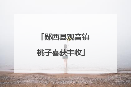 郧西县观音镇桃子喜获丰收