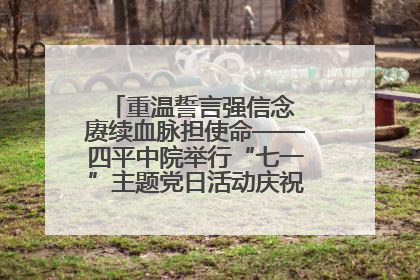 重温誓言强信念 赓续血脉担使命——四平中院举行“七一”主题党日活动庆祝建党104周年