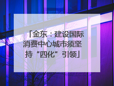 金东：建设国际消费中心城市须坚持“四化”引领