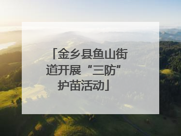 金乡县鱼山街道开展“三防”护苗活动