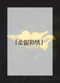 金银彩绣