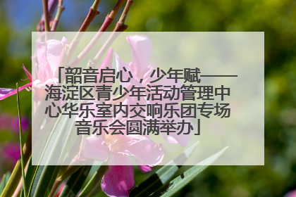 韶音启心，少年赋——海淀区青少年活动管理中心华乐室内交响乐团专场音乐会圆满举办