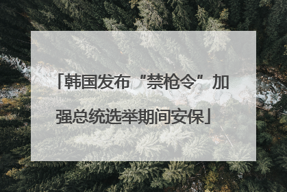 韩国发布“禁枪令”加强总统选举期间安保