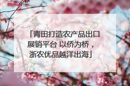 青田打造农产品出口展销平台 以侨为桥，浙农优品越洋出海
