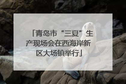 青岛市“三夏”生产现场会在西海岸新区大场镇举行