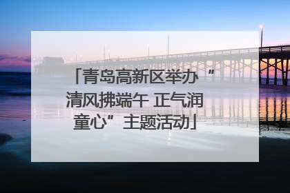 青岛高新区举办“清风拂端午 正气润童心”主题活动
