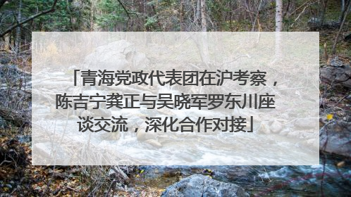 青海党政代表团在沪考察，陈吉宁龚正与吴晓军罗东川座谈交流，深化合作对接