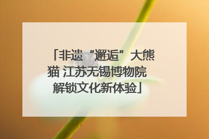 非遗“邂逅”大熊猫 江苏无锡博物院解锁文化新体验