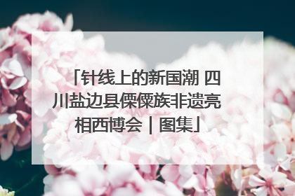 针线上的新国潮 四川盐边县傈僳族非遗亮相西博会｜图集