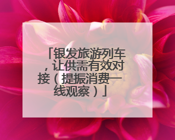 银发旅游列车，让供需有效对接（提振消费一线观察）