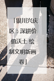 银川兴庆区：深耕价值沃土 绘制文明新画卷